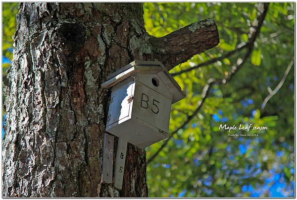 IMG_0385-1 IMG_0385-1