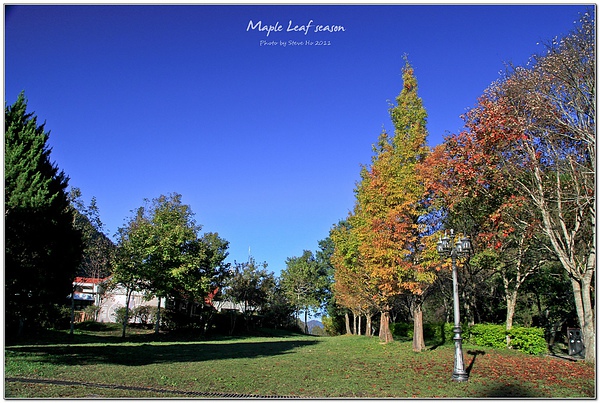 IMG_0257-1 IMG_0257-1