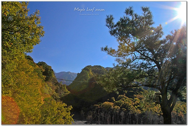 IMG_0363-1 IMG_0363-1