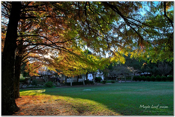 IMG_0228-1 IMG_0228-1