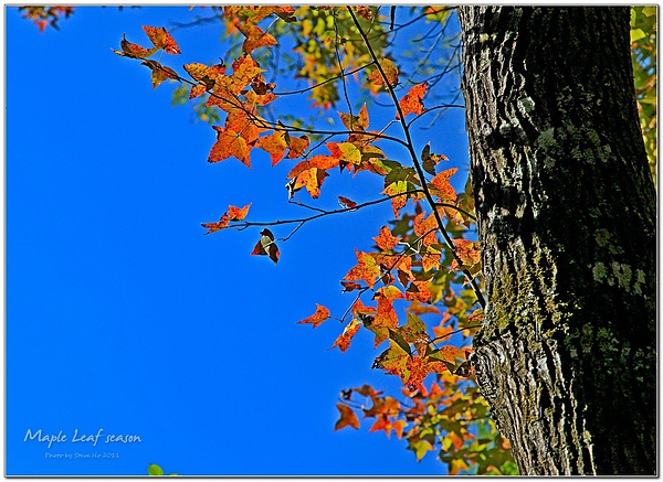 IMG_0422_cr-1 IMG_0422_cr-1