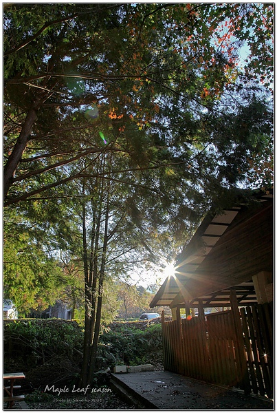 IMG_0212-1 IMG_0212-1