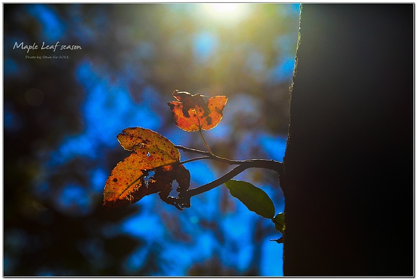 IMG_0412-1 IMG_0412-1