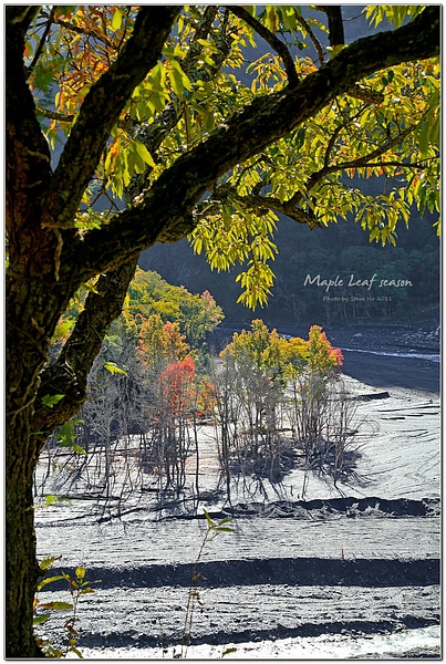 IMG_0360-1 IMG_0360-1