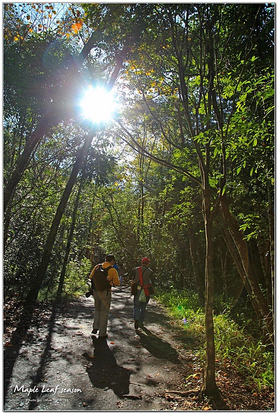 IMG_0353-1 IMG_0353-1