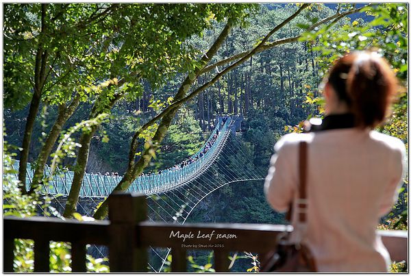 IMG_0498-1 IMG_0498-1