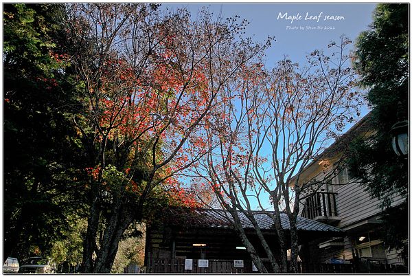 IMG_0192-1 IMG_0192-1