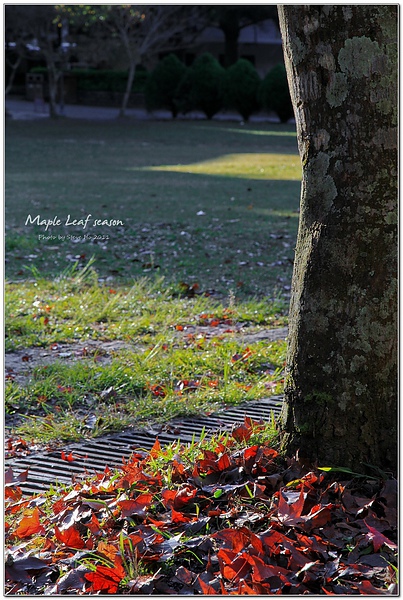 IMG_0249-1 IMG_0249-1