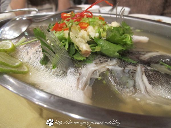 照片 1006 照片 1006