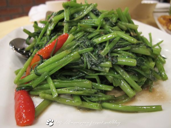 照片 1004 照片 1004