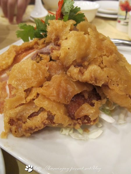 照片 1002 照片 1002