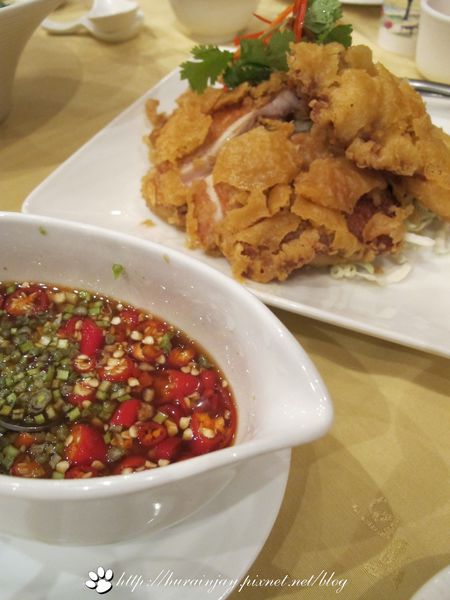 照片 1001 照片 1001