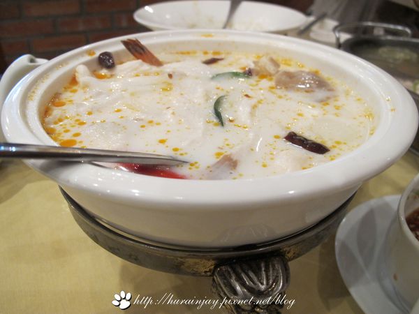 照片 1008 照片 1008