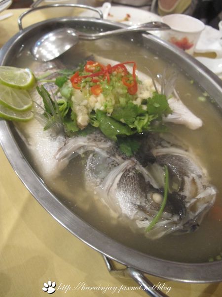 照片 1005 照片 1005