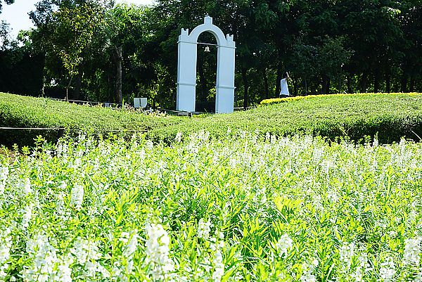 就是愛荔枝樂園(Alice’s Garden)：※ 就是愛荔枝樂園(環境篇) ※【星羽愛玩樂-彰化】小朋友的童話天堂，大草原遊樂設施玩水趣，很適合開心遛小孩~