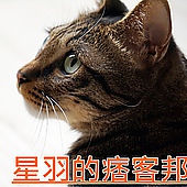 就是愛荔枝樂園(Alice’s Garden)：※ 就是愛荔枝樂園(環境篇) ※【星羽愛玩樂-彰化】小朋友的童話天堂，大草原遊樂設施玩水趣，很適合開心遛小孩~