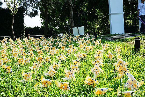 就是愛荔枝樂園(Alice’s Garden)：※ 就是愛荔枝樂園(環境篇) ※【星羽愛玩樂-彰化】小朋友的童話天堂，大草原遊樂設施玩水趣，很適合開心遛小孩~