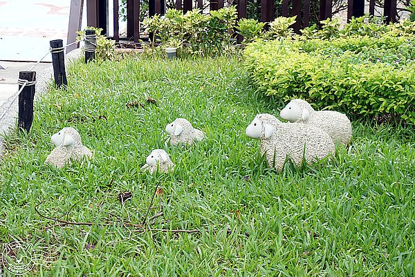 就是愛荔枝樂園(Alice’s Garden)：※ 就是愛荔枝樂園(環境篇) ※【星羽愛玩樂-彰化】小朋友的童話天堂，大草原遊樂設施玩水趣，很適合開心遛小孩~