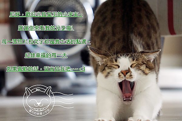 就是愛荔枝樂園(Alice’s Garden)：※ 就是愛荔枝樂園(環境篇) ※【星羽愛玩樂-彰化】小朋友的童話天堂，大草原遊樂設施玩水趣，很適合開心遛小孩~