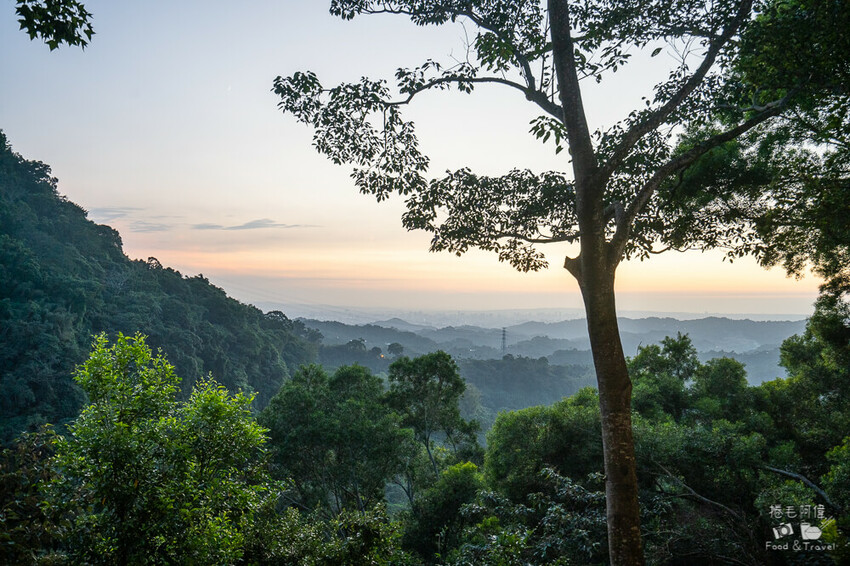 台中新社花海美食!米其林必比登餐廳「菇神」,人氣鍋物 香菇料理必吃。