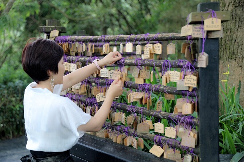 台中市新社區台中新社一日遊！漫遊台中後花園 連續三年榮獲必比登推薦菇神火鍋吃美食＆探索薰衣草森林香氣