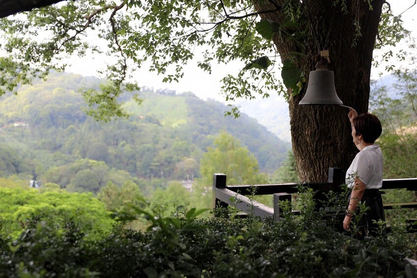 台中市新社區台中新社一日遊！漫遊台中後花園 連續三年榮獲必比登推薦菇神火鍋吃美食＆探索薰衣草森林香氣