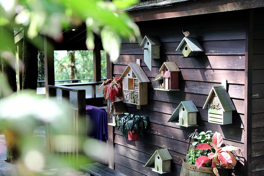 台中市新社區台中新社一日遊！漫遊台中後花園 連續三年榮獲必比登推薦菇神火鍋吃美食＆探索薰衣草森林香氣