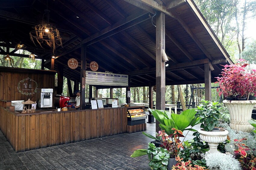 台中市新社區台中新社一日遊！漫遊台中後花園 連續三年榮獲必比登推薦菇神火鍋吃美食＆探索薰衣草森林香氣