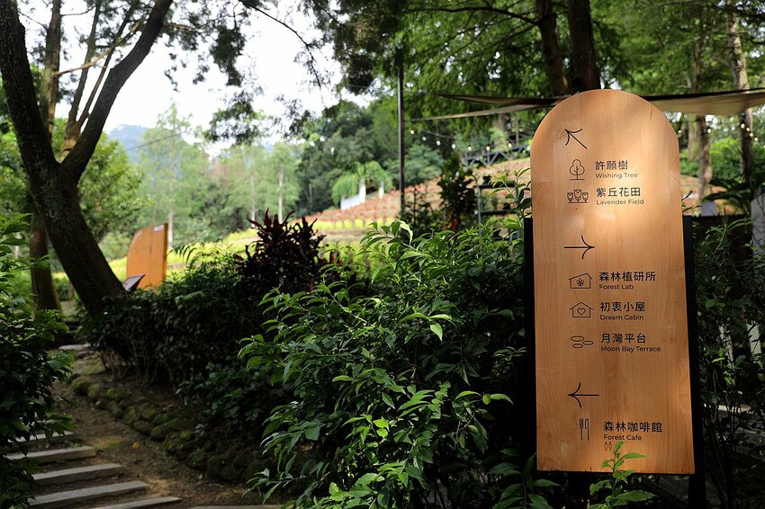 台中市新社區台中新社一日遊！漫遊台中後花園 連續三年榮獲必比登推薦菇神火鍋吃美食＆探索薰衣草森林香氣