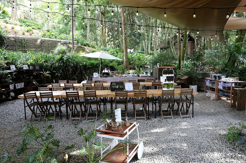 台中市新社區台中新社一日遊！漫遊台中後花園 連續三年榮獲必比登推薦菇神火鍋吃美食＆探索薰衣草森林香氣