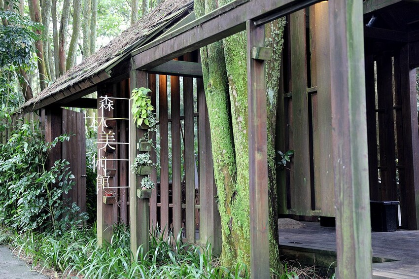 台中市新社區台中新社一日遊！漫遊台中後花園 連續三年榮獲必比登推薦菇神火鍋吃美食＆探索薰衣草森林香氣