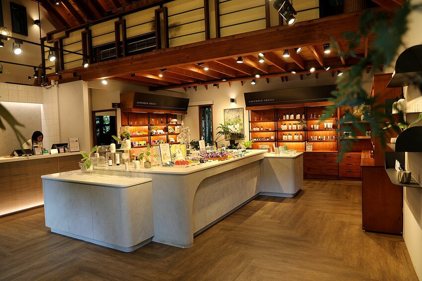 台中市新社區台中新社一日遊！漫遊台中後花園 連續三年榮獲必比登推薦菇神火鍋吃美食＆探索薰衣草森林香氣