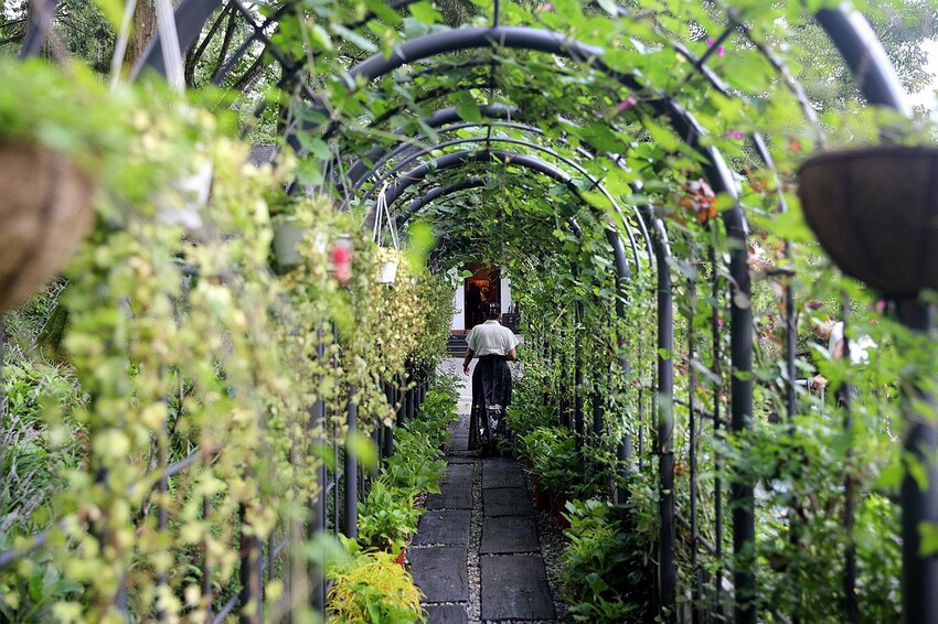 台中市新社區台中新社一日遊！漫遊台中後花園 連續三年榮獲必比登推薦菇神火鍋吃美食＆探索薰衣草森林香氣