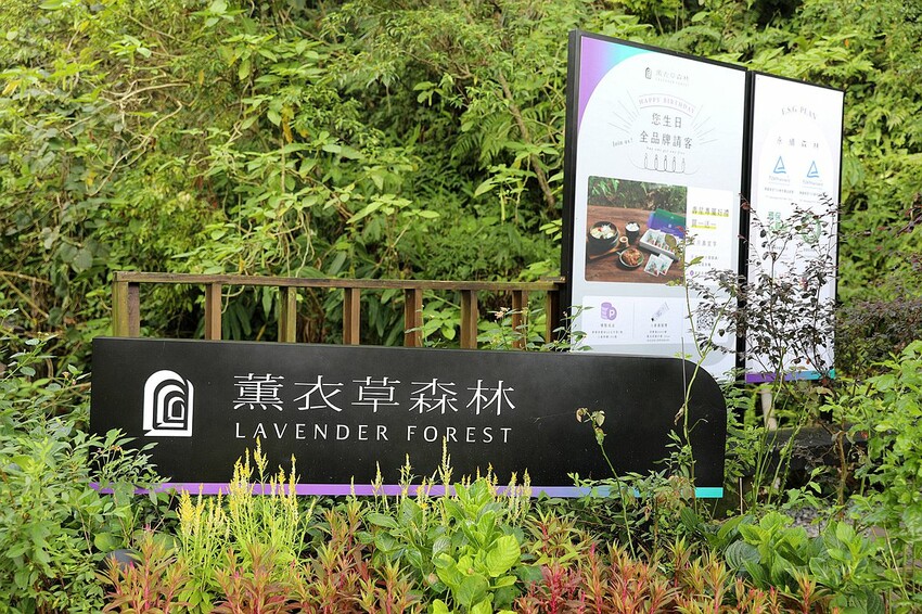 台中市新社區台中新社一日遊！漫遊台中後花園 連續三年榮獲必比登推薦菇神火鍋吃美食＆探索薰衣草森林香氣
