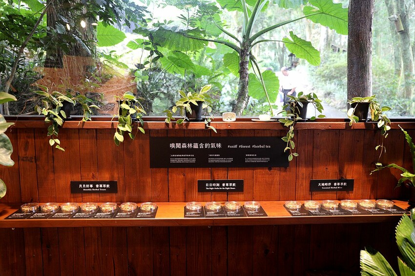 台中市新社區台中新社一日遊！漫遊台中後花園 連續三年榮獲必比登推薦菇神火鍋吃美食＆探索薰衣草森林香氣