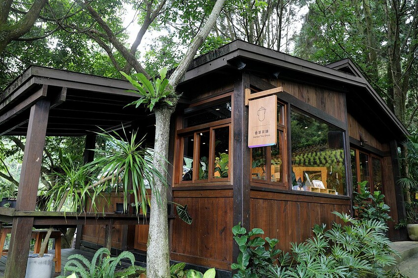 台中市新社區台中新社一日遊！漫遊台中後花園 連續三年榮獲必比登推薦菇神火鍋吃美食＆探索薰衣草森林香氣