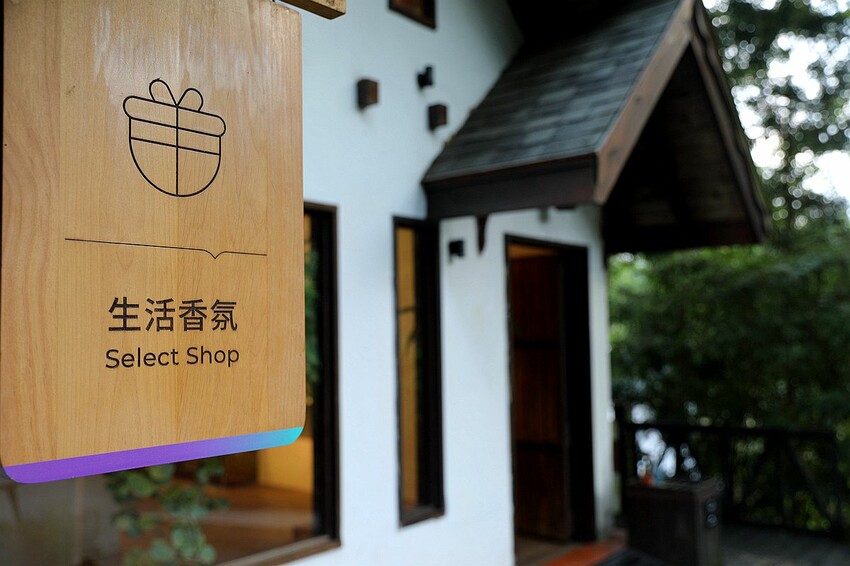 台中市新社區台中新社一日遊！漫遊台中後花園 連續三年榮獲必比登推薦菇神火鍋吃美食＆探索薰衣草森林香氣