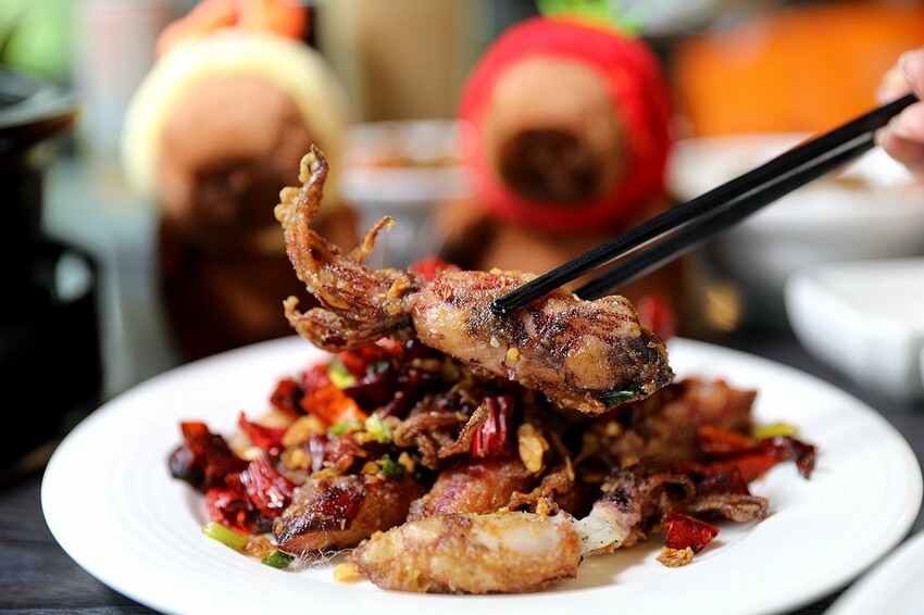 台中市新社區台中新社一日遊！漫遊台中後花園 連續三年榮獲必比登推薦菇神火鍋吃美食＆探索薰衣草森林香氣