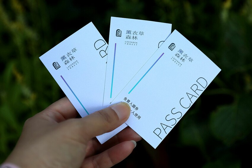 台中市新社區台中新社一日遊！漫遊台中後花園 連續三年榮獲必比登推薦菇神火鍋吃美食＆探索薰衣草森林香氣