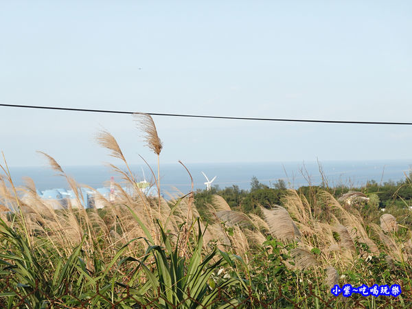 白天-海灣星空景觀咖啡館 (4).jpg