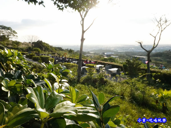 白天-海灣星空景觀咖啡館 (3).jpg