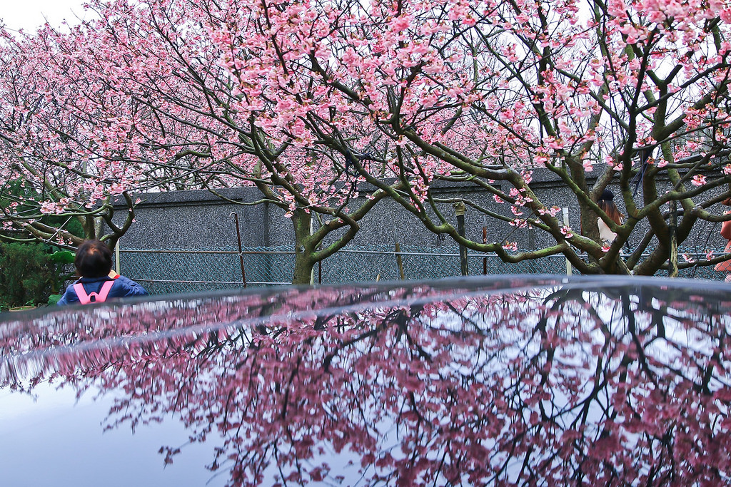 平菁街20180122_180122_0009