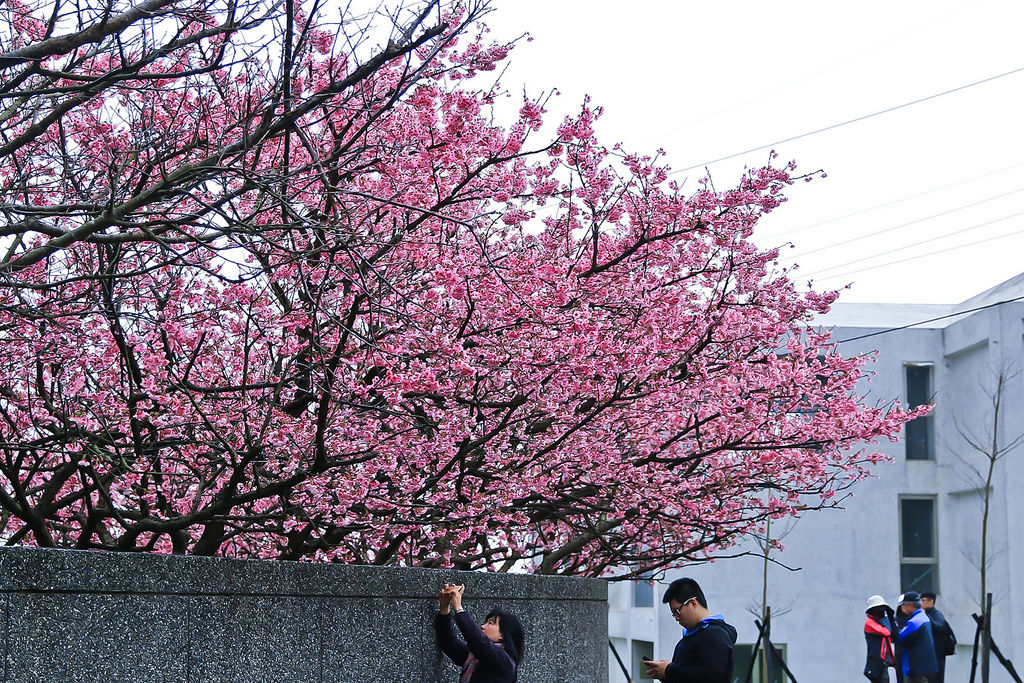 平菁街20180122_180122_0018