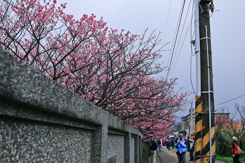 平菁街20180122_180122_0020