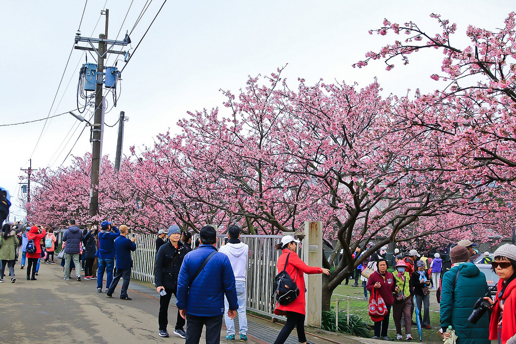 平菁街20180122_180122_0001