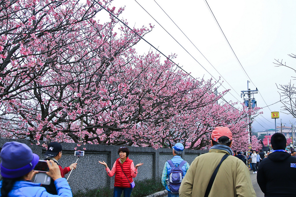 平菁街20180122_180122_0010