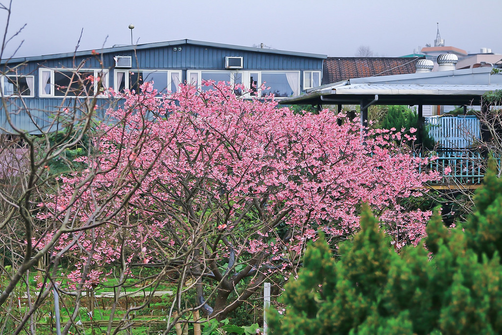 平菁街20180122_180122_0027