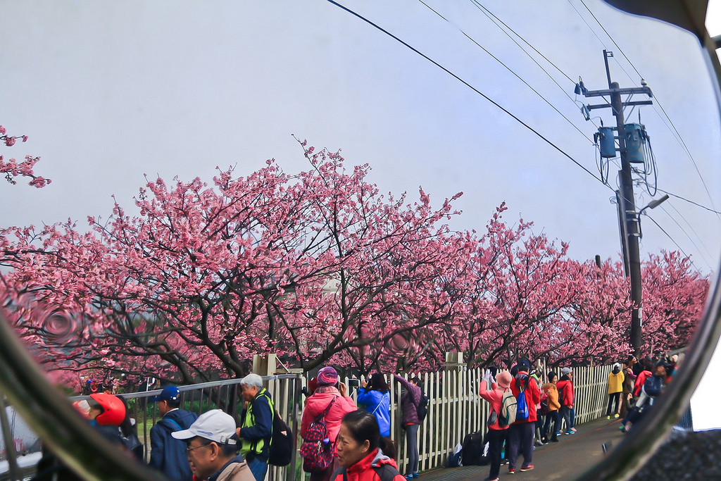 平菁街20180122_180122_0032