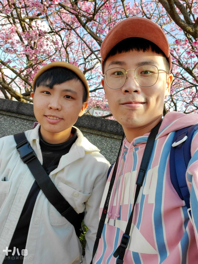 【台北旅遊】陽明山 平菁街42巷 ｜台北情人節一日行程、讓粉色櫻花盛開你們的愛情、同場加映台北最美夜景！