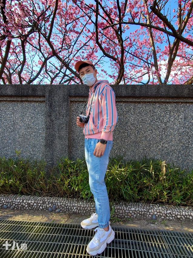 【台北旅遊】陽明山 平菁街42巷 ｜台北情人節一日行程、讓粉色櫻花盛開你們的愛情、同場加映台北最美夜景！